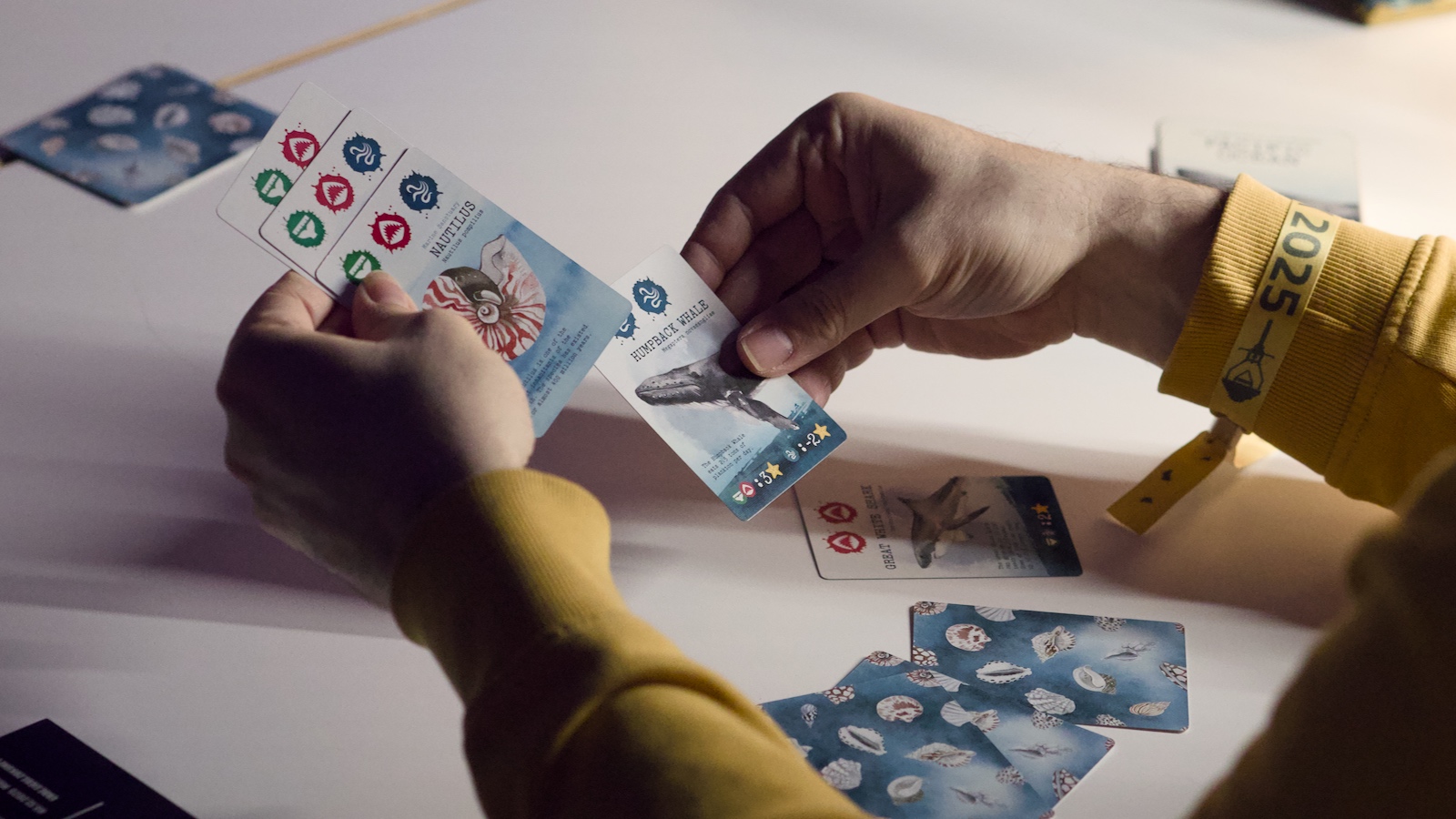 Begleitend zum Vortrag Meeresschutz im Brettspiel wurden Spiele ausprobiert, die sich rund um den Schutz der Meere drehen.